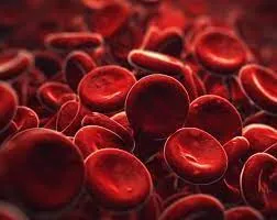 KDIGO Anemias (2024): Avaliação e diagnostico da anemia