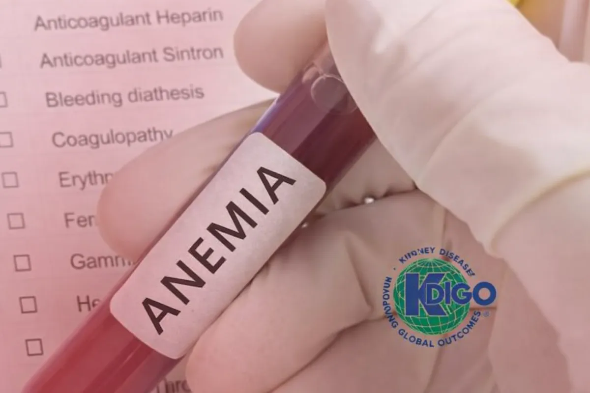 Anemia na DRC após o ferro: quando iniciar eritropoetina, onde cabem os HIF-PHIs e quando transfundir