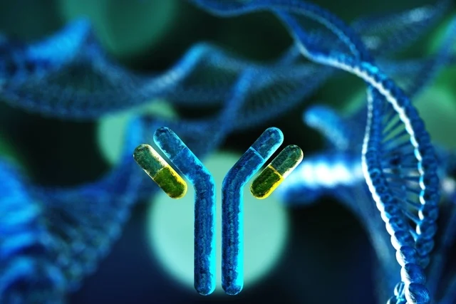 Anticorpos anti-nefrina ajuda na condução da GESF após transplante?