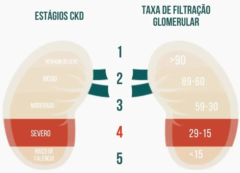 Aprenda como usar os scores prognósticos na nefrologia