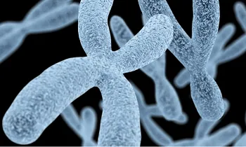 DRC indeterminada: quando pensar no Diagnóstico Genético?