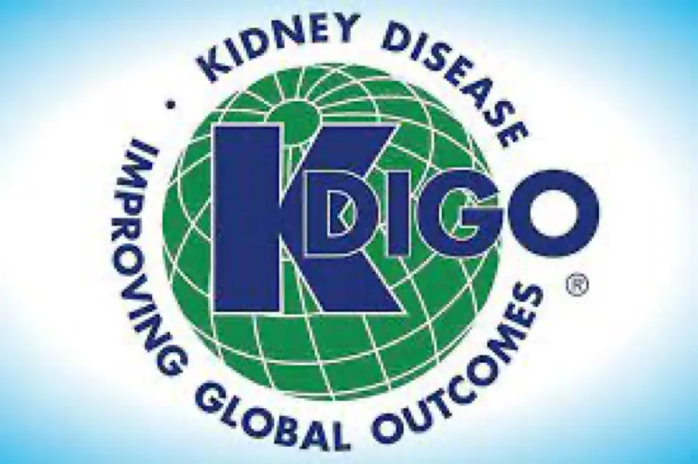 KDIGO 2024: Avaliação do risco na DRC