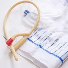 Orientações e Manejo sobre o uso da Sonda Vesical de Demora