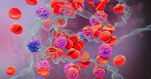 Pontos a considerar ao indicar diálise em pacientes com hemofilia