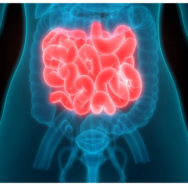 Síndrome do intestino curto e o risco de DRC