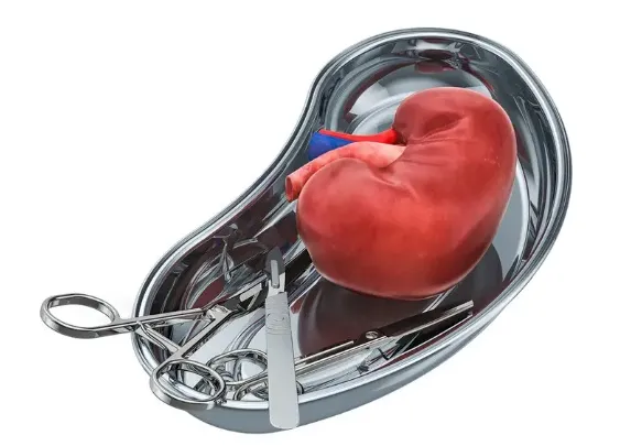 Falha do transplante renal e o retorno para a diálise