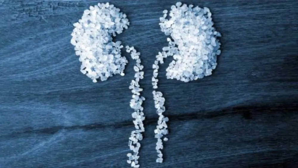 Quando utilizar creatinina, cistatina C e associação das duas na prática?