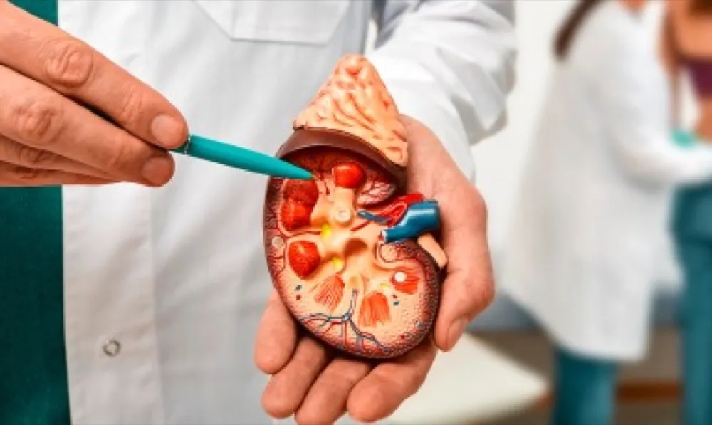 Risco de neoplasias urológicas na DRC