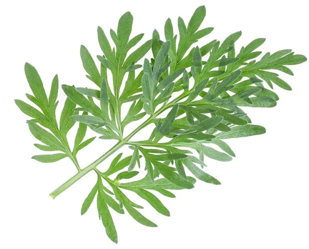 “Doutor, é só um remédio natural”: Uma possível armadilha para o rim!