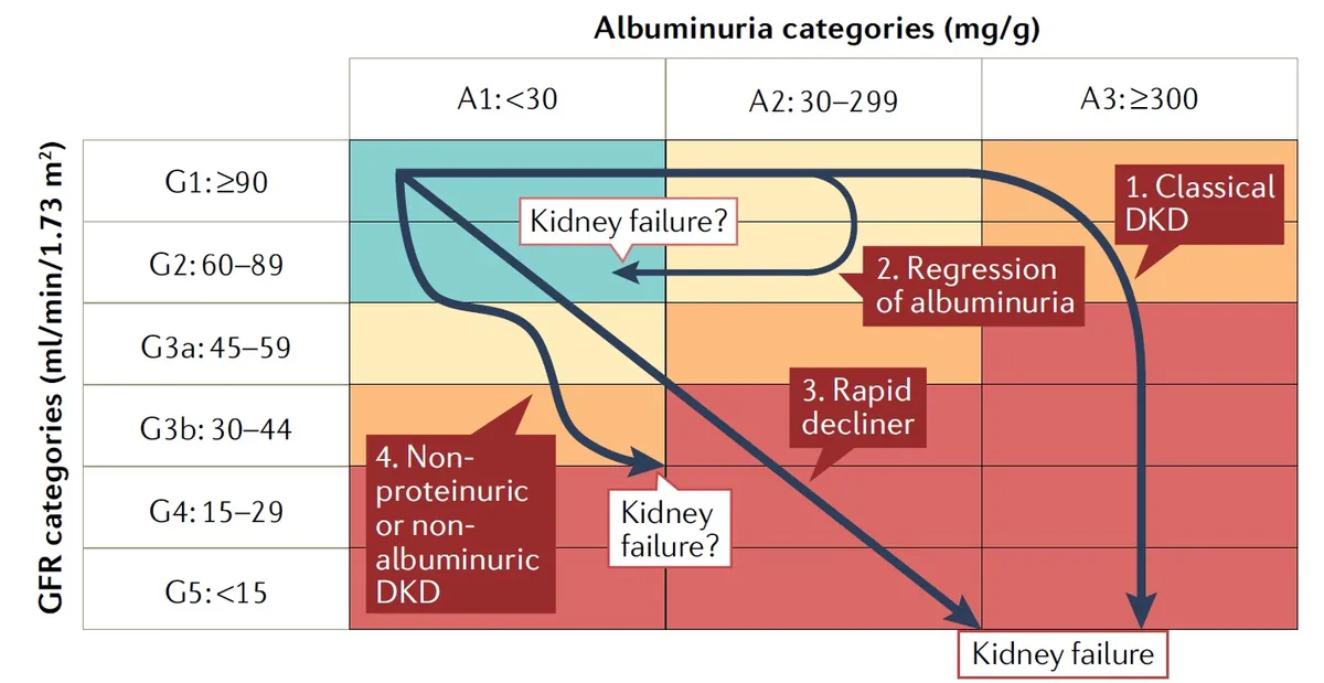 Doença Renal do Diabetes: trajetórias de evolução da doença 
