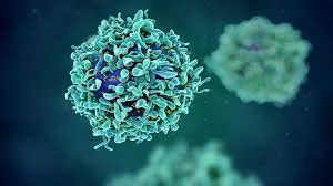 Impacto do BKEVER Trial no manejo do BK Polyomavirus em receptores de transplante renal